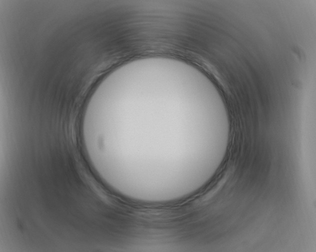 X0000114520589200910190951