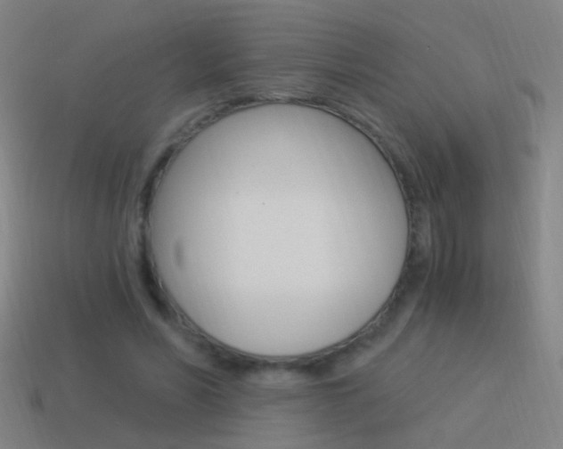 X0000114520590200910190951