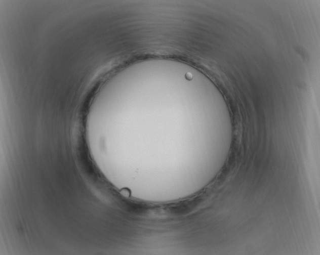 X0000114520591200910190951