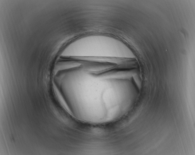 X0000114520592200910190951