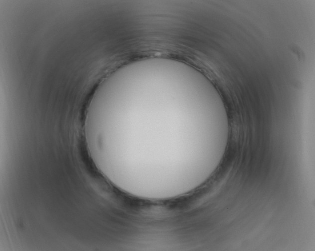 X0000114520594200910190951