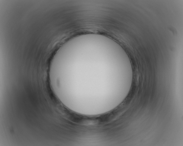 X0000114520595200910190951
