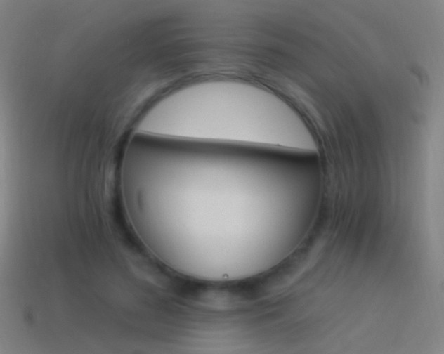 X0000114520596200910190951