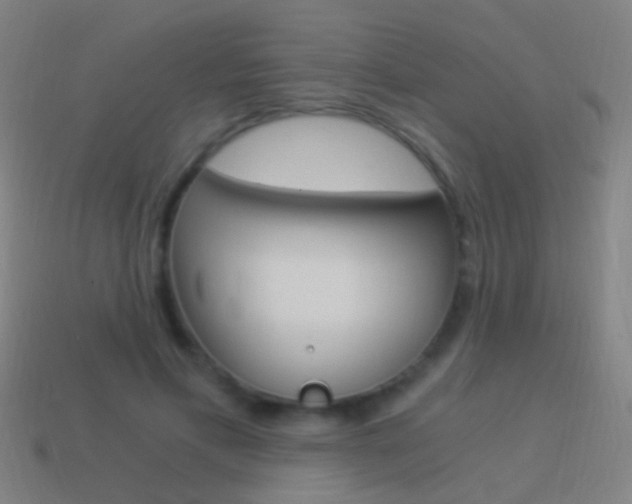 X0000114520597200910190951