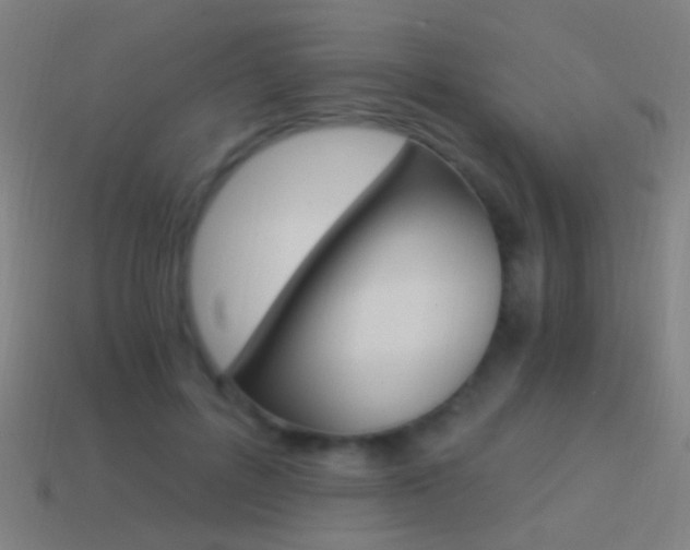 X0000114520600200910190951