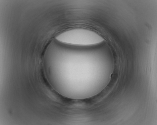 X0000114520601200910190951