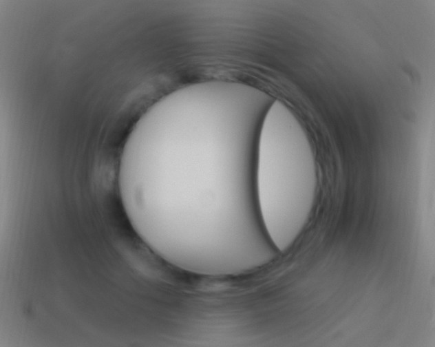 X0000114520602200910190951