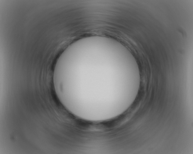 X0000114520603200910190951