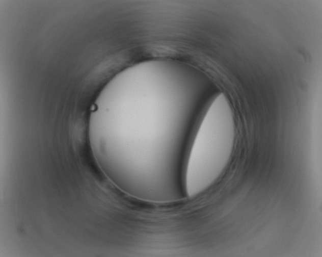 X0000114520604200910190951
