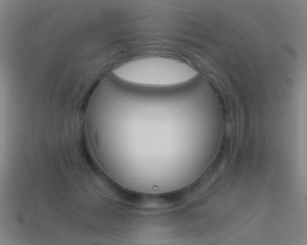 X0000114520605200910190951