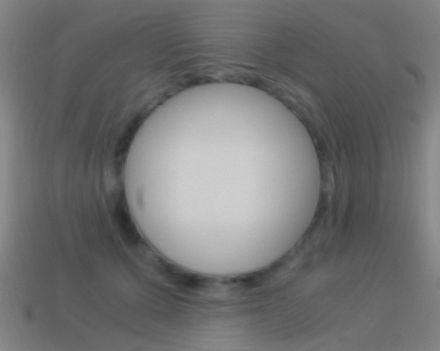 X0000114520607200910190951