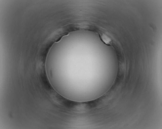 X0000114520609200910190951
