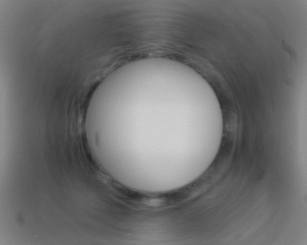 X0000114520610200910190951