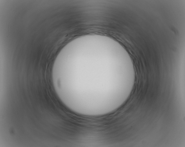 X0000114520611200910190951