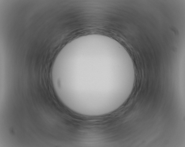 X0000114520613200910190951