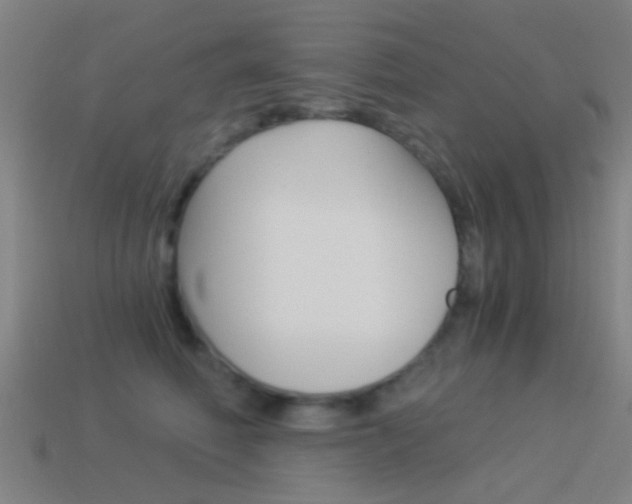 X0000114520614200910190951