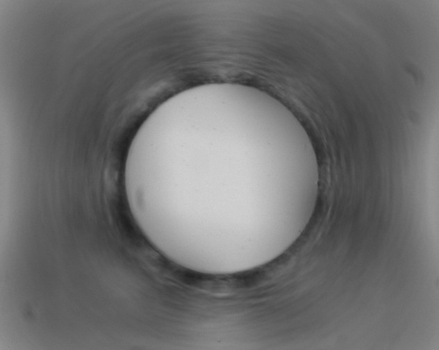 X0000114520615200910190951