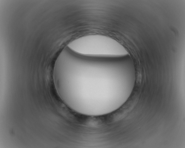 X0000114520616200910190951