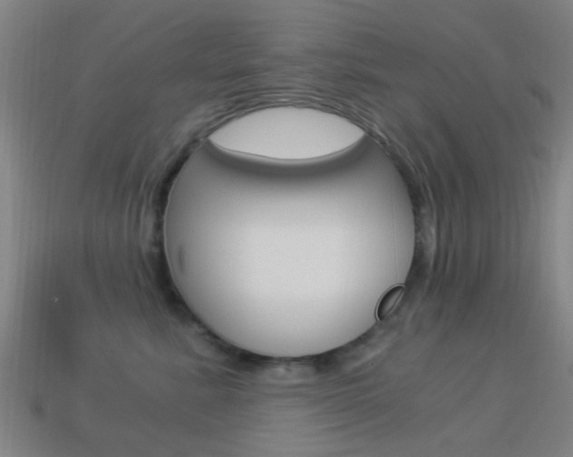 X0000114520619200910190951
