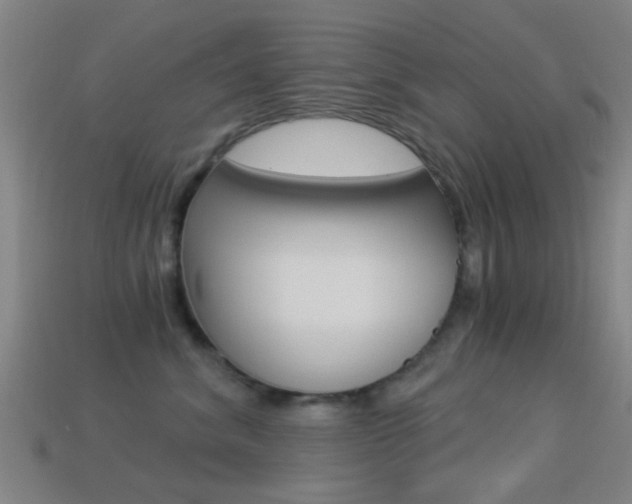 X0000114520620200910190951
