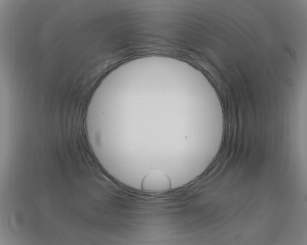 X0000114520621200910190951