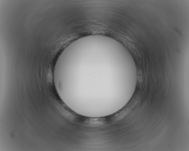 X0000114520622200910190951