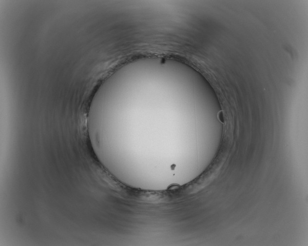 X0000114520624200910190951