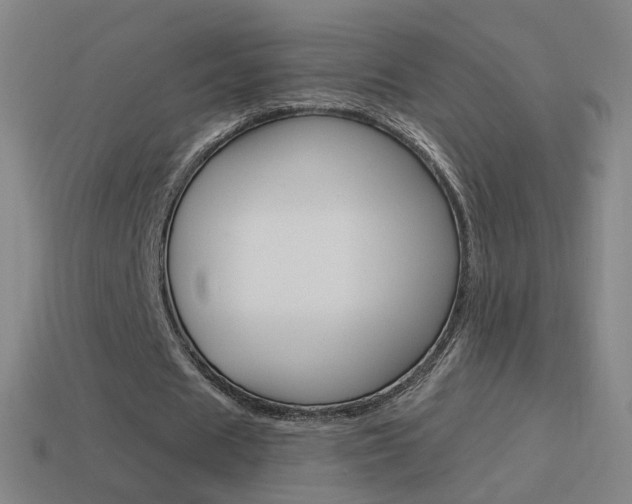X0000114520625200910190950