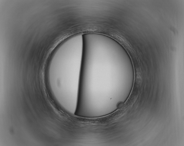 X0000114520626200910190950