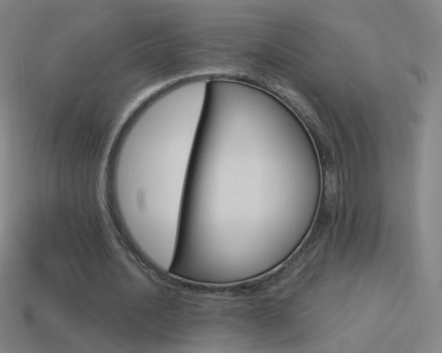 X0000114520628200910190950