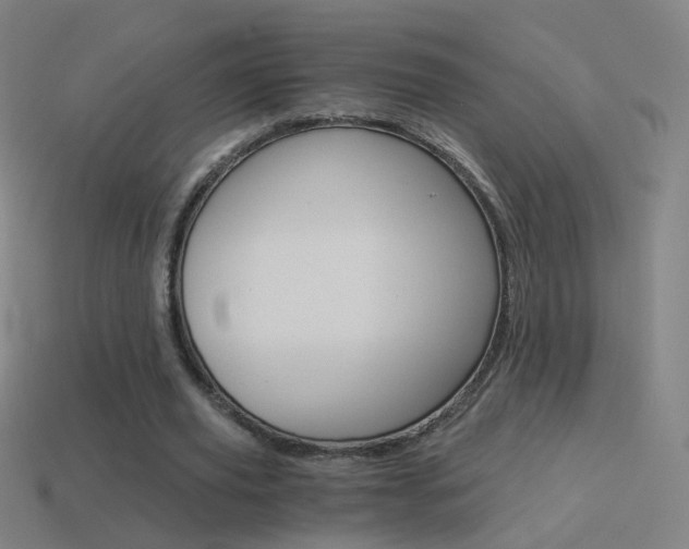 X0000114520629200910190950