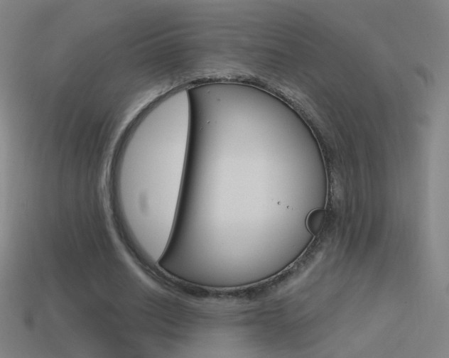 X0000114520630200910190950