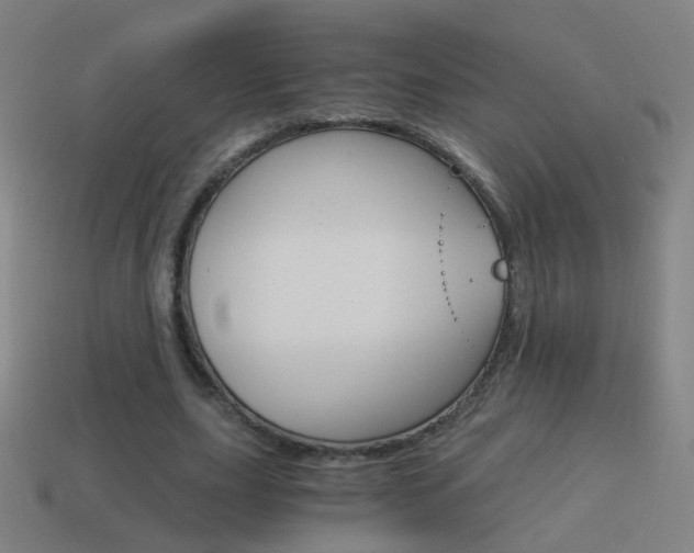 X0000114520631200910190950