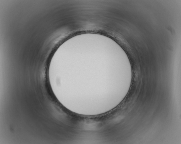 X0000114520632200910190950