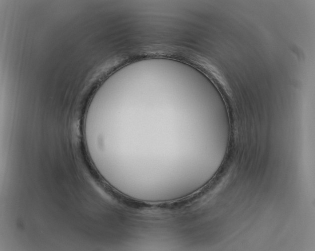 X0000114520633200910190950