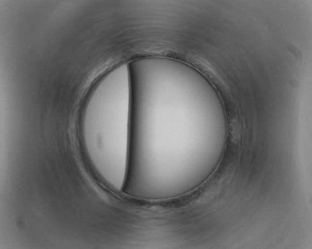 X0000114520634200910190950