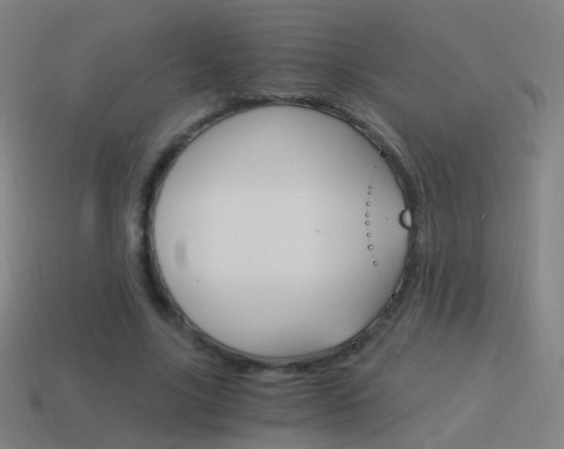 X0000114520635200910190950