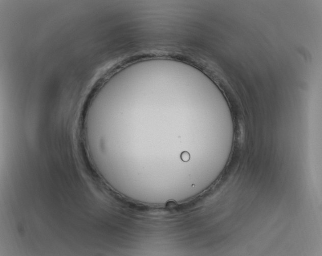 X0000114520636200910190950