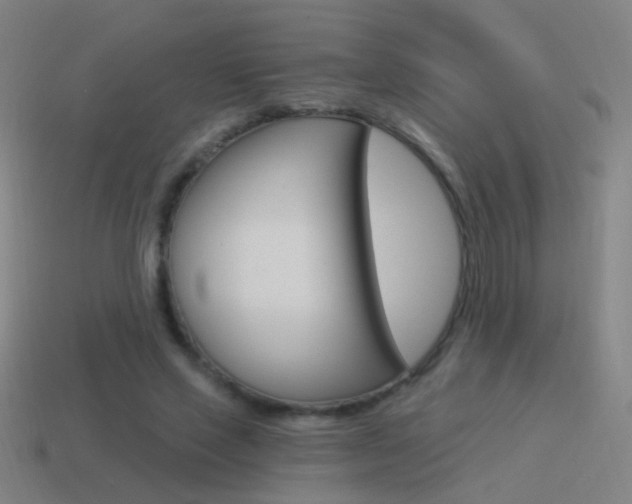 X0000114520637200910190950