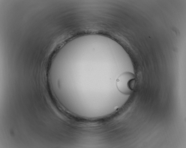 X0000114520638200910190950