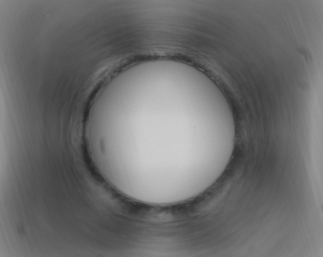 X0000114520640200910190950
