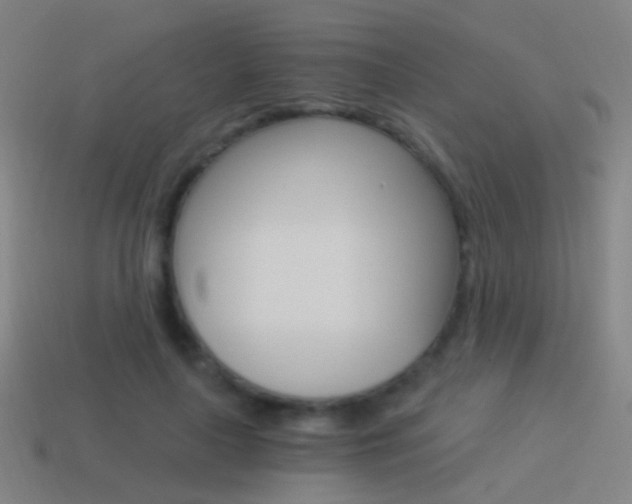 X0000114520643200910190950
