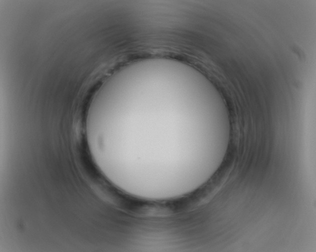 X0000114520644200910190950