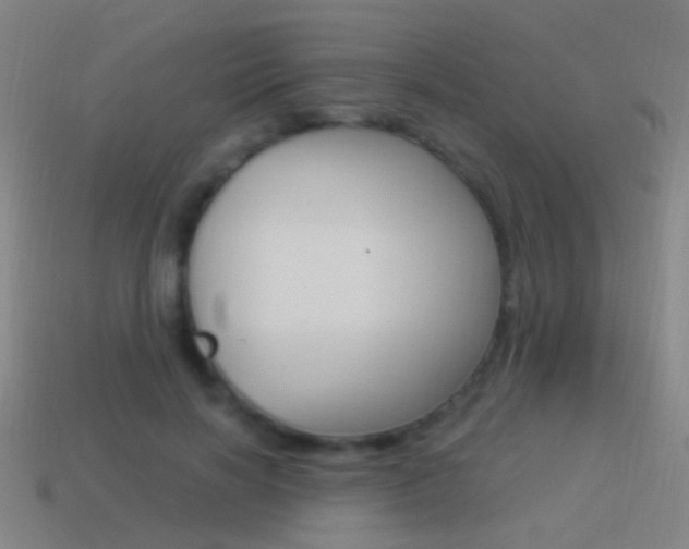 X0000114520646200910190950