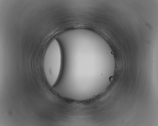 X0000114520648200910190950