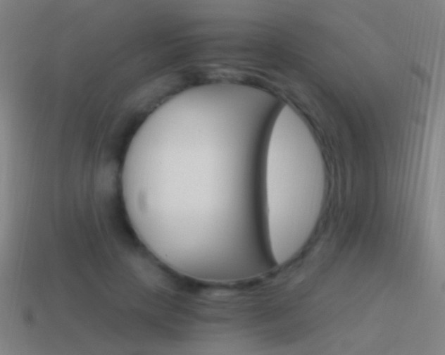 X0000114520649200910190950