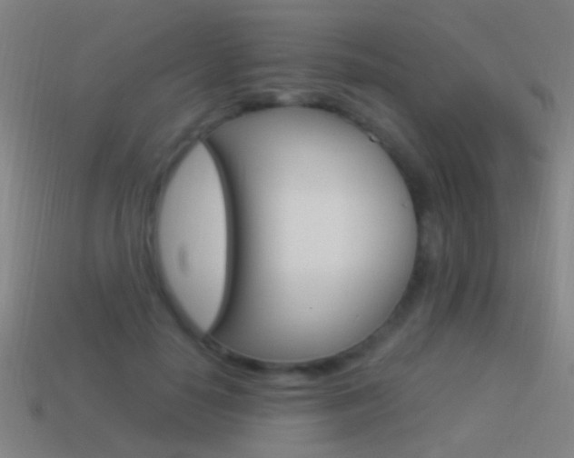 X0000114520650200910190950