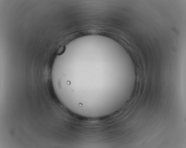 X0000114520651200910190950