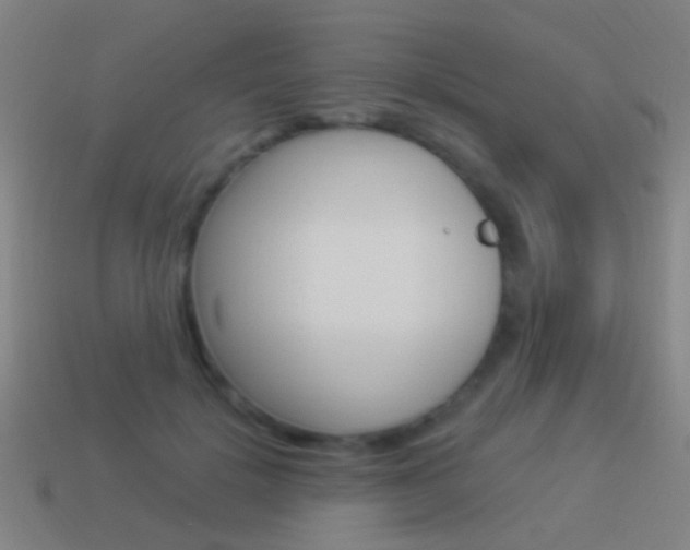 X0000114520652200910190950