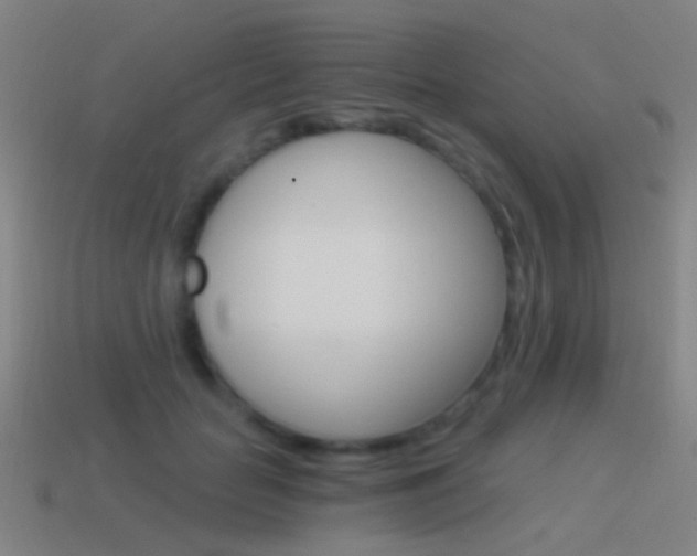 X0000114520653200910190950